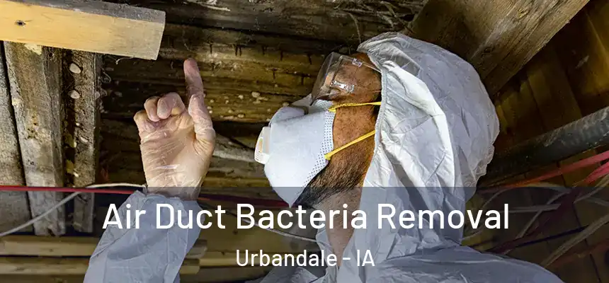  Air Duct Bacteria Removal Urbandale - IA