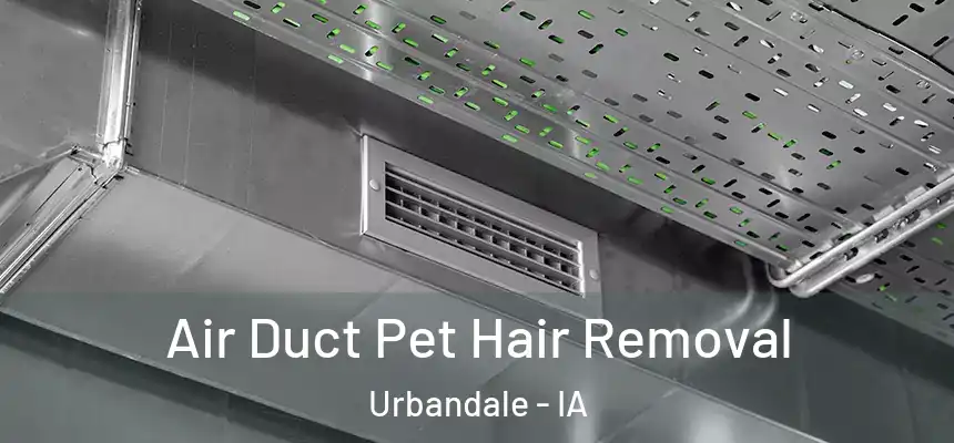  Air Duct Pet Hair Removal Urbandale - IA
