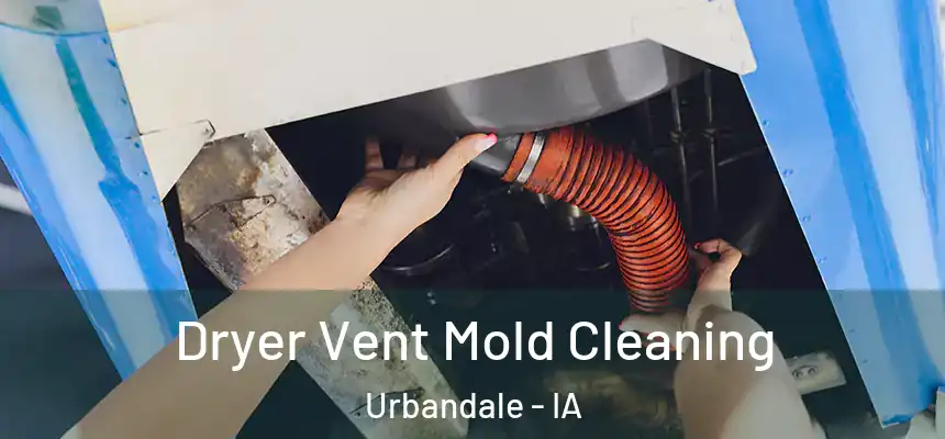 Dryer Vent Mold Cleaning Urbandale - IA