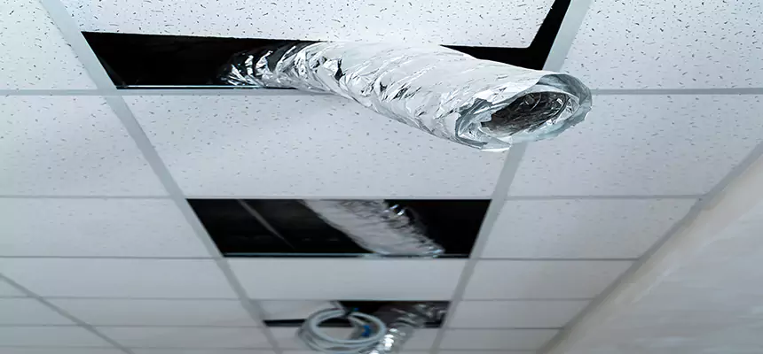 Affordable HVAC Sanitizing After Pest Removal in Urbandale