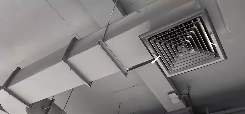 Restorative Allergy Relief Vent Cleaning – Coil, Blower & Housing Detail in Urbandale