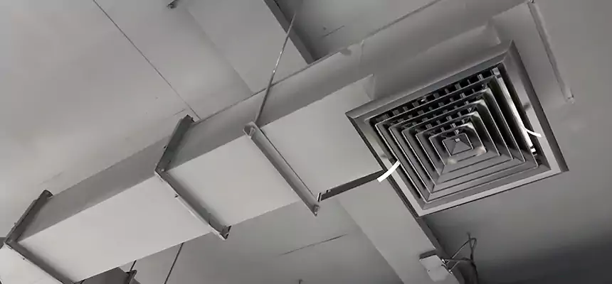 Our Rodent Droppings In Vents Services in Urbandale, IA