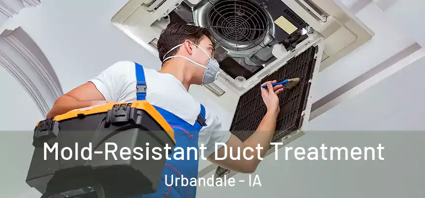  Mold-Resistant Duct Treatment Urbandale - IA