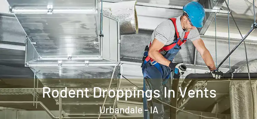Rodent Droppings In Vents Urbandale - IA