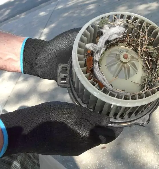 About Air Duct Rat Removal in Urbandale, IA