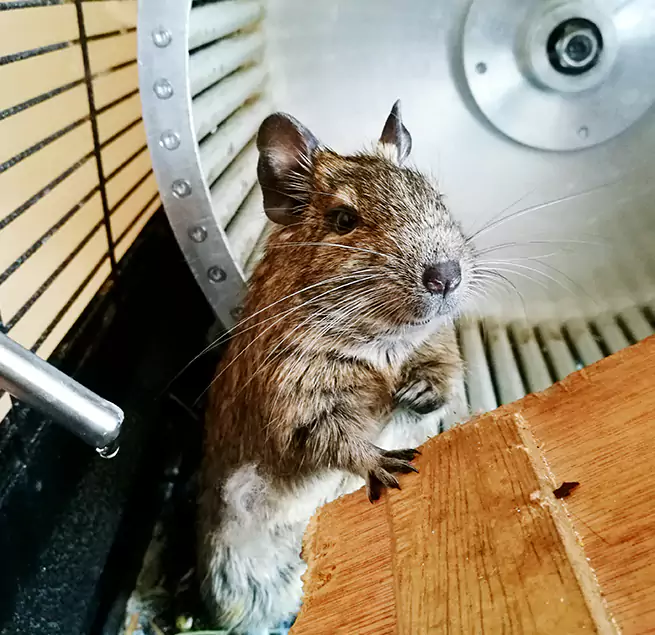 Why Homeowners & Businesses Trust Us Urbandale, IA?