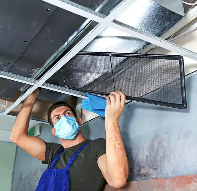 Why Homeowners Businesses Trust Us in Urbandale, IA