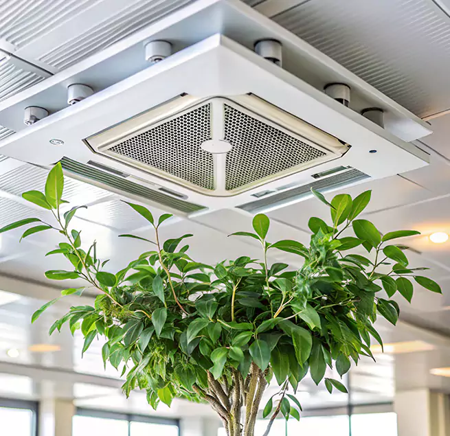 Why Homeowners & Businesses Trust Us in Urbandale, IA?