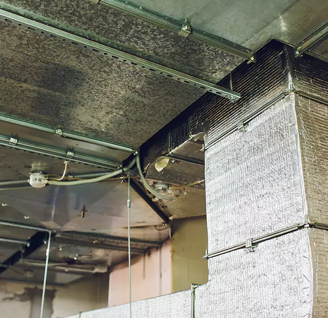 Why Homeowners & Businesses Trust Us in Urbandale, IA?